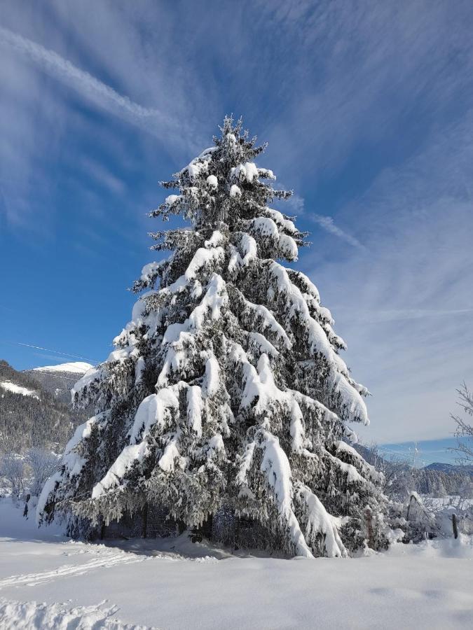 Gasthof Zur Schmiede Berg im Drautal Exteriör bild